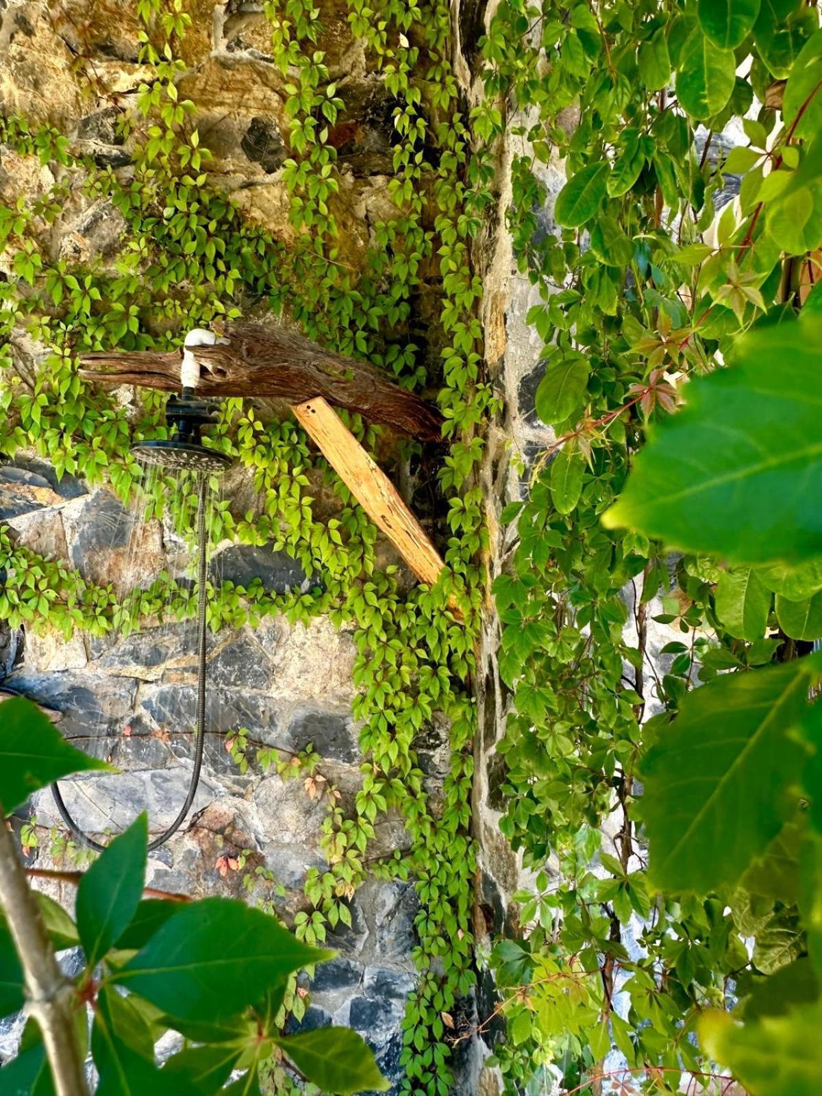 Casa Jasmin Bed & Breakfast ตรอนโกเนส ภายนอก รูปภาพ